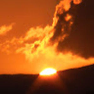 Meet your Posher, Denis